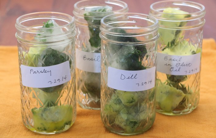 How to Freeze Fresh Herbs for Winter: The Ultimate UK Guide