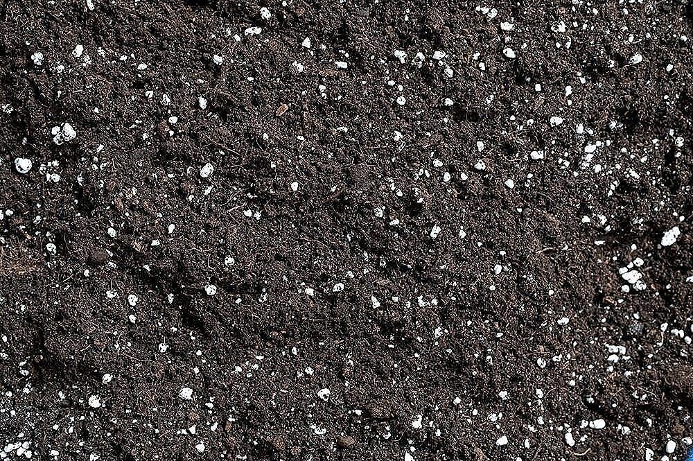 PVP Industries Coarse Horticultural Perlite