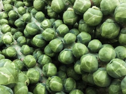Current Price of Brussels Sprouts Current Price of Brussels Sprouts